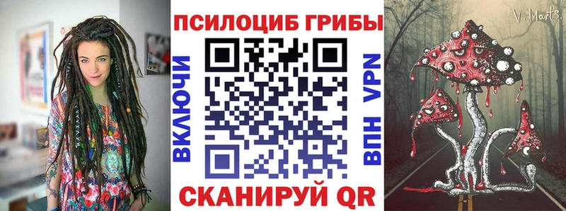 Псилоцибиновые грибы прущие грибы  даркнет как зайти  Электросталь 